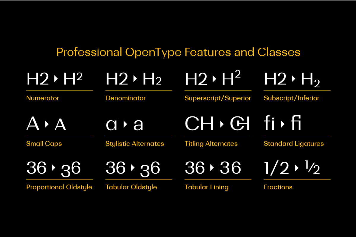 Bodrum Sans, a Sans Serif Font by BULENT YUKSEL (Photo 5 of 12)