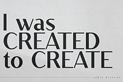 Ludic - Display Vintage Font, a Font by Only Fonts (Thumbnail 4 of 10)