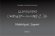 Rolicha, a Handwritten Font by Zafiratype (Thumbnail 12 of 12)