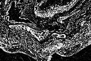 Lilliputian, a Texture Graphic by Jennifer Lauren Creative (Thumbnail 14 of 28)