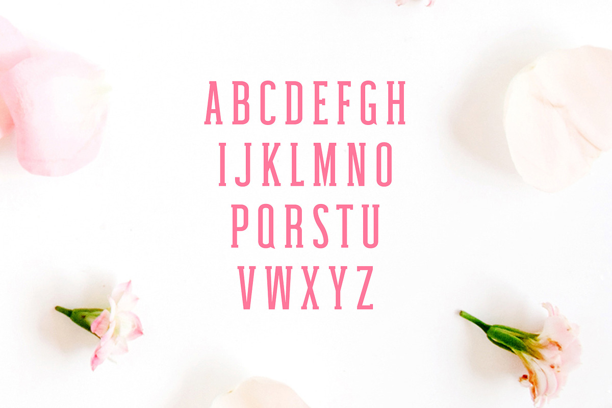 Haana Slab Serif Duo Font preview 2