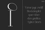 Polyglot Neue, a Serif Font by MJtypefoundry (Thumbnail 9 of 13)
