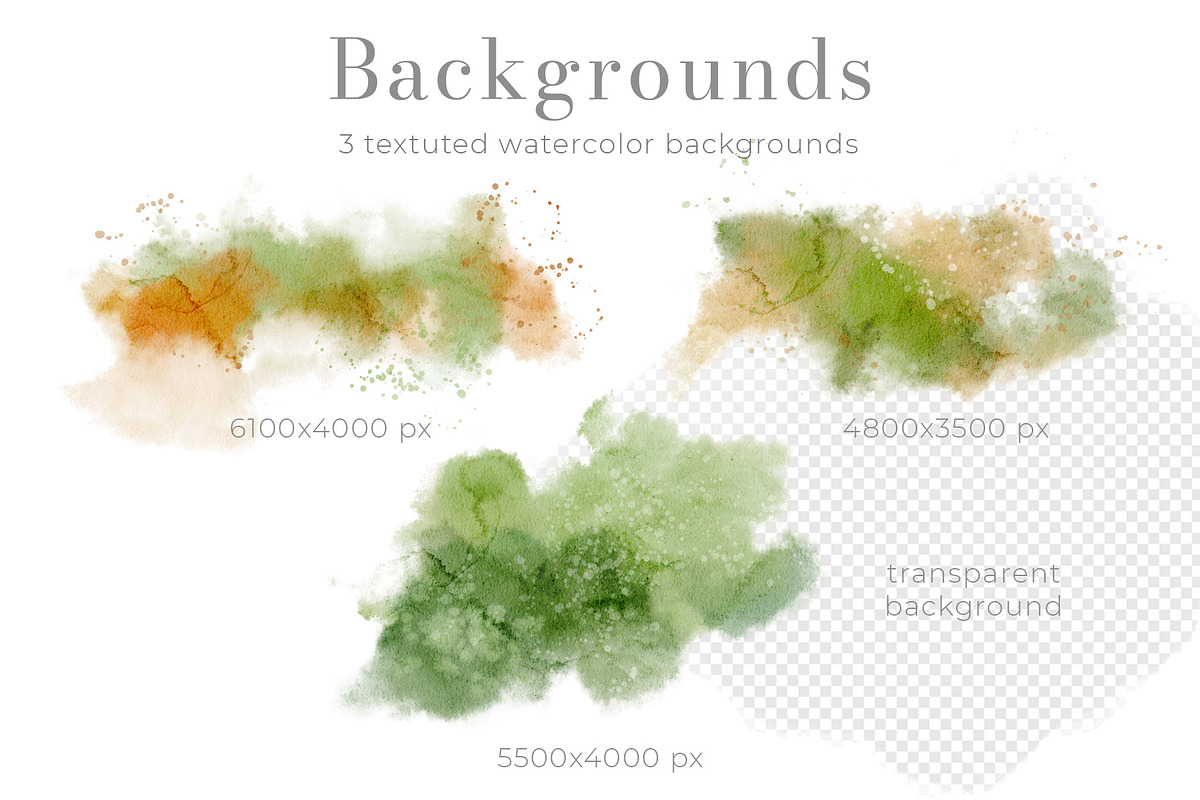 Woodland Animals Watercolor Clipart, an Illustration by Alisles (Photo 14 of 18)