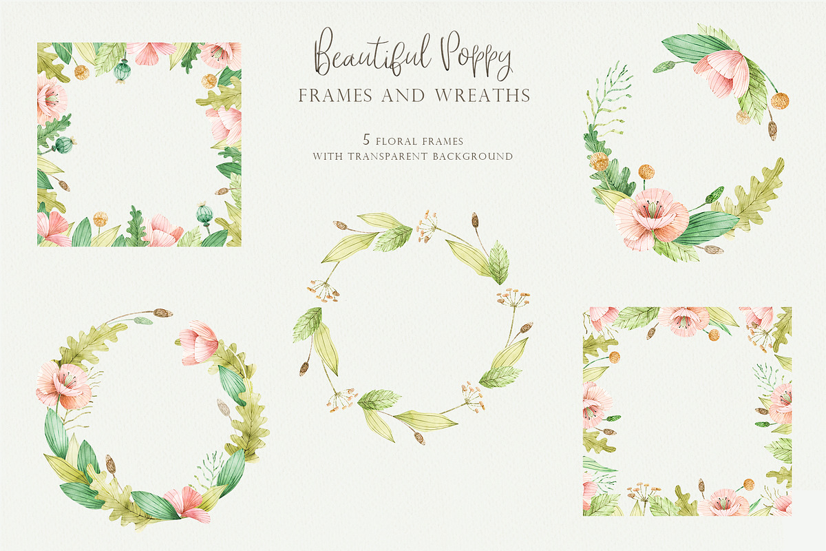 Beautiful Poppy, an Illustration by svetsum (Photo 6 of 9)