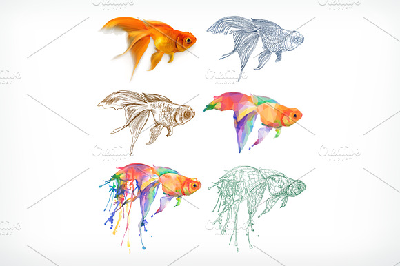 Goldfish Different Styles Vector Set
