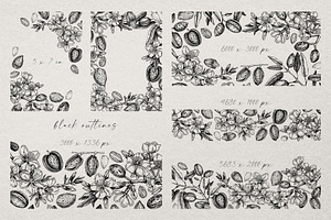 Vintage Almond Nut Vectors & Designs