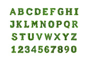 Shamrock, a Symbol Font by Loudoun Design Co. (Thumbnail 2 of 6)