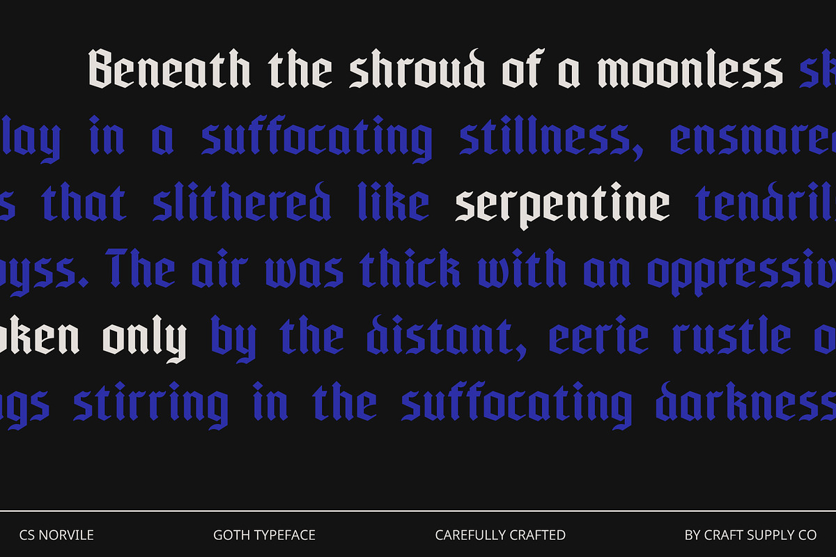 CS Norvile – Gothic Font, a Blackletter Font by Craft Supply Co. (Photo 4 of 8)