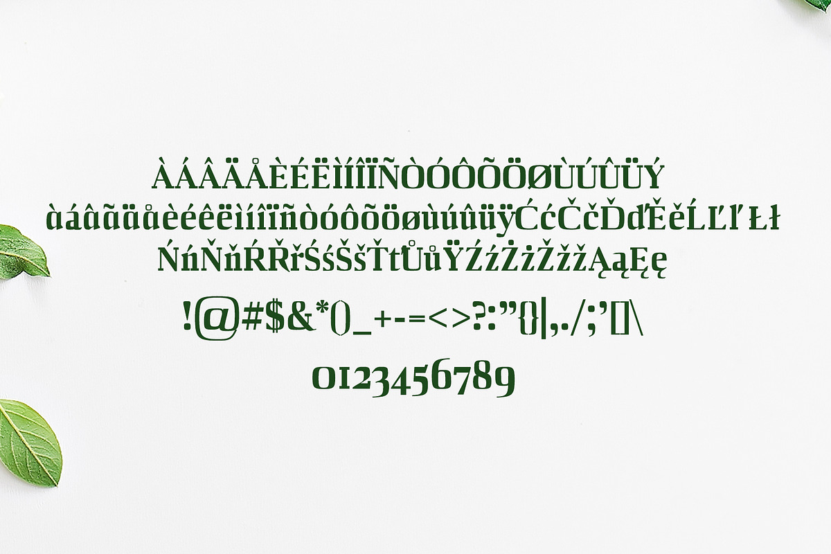 Barnes Serif 7 Font Family Pack preview 3