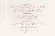 Kaldista Project Modern Signature, a Script Font by Letterena Studios Script (Thumbnail 13 of 15)