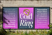 Glagter Normal - Family Font, a Serif Font by Rastype (Thumbnail 3 of 15)
