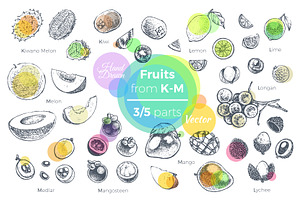 Fruits - Hand Drawn Vector Set