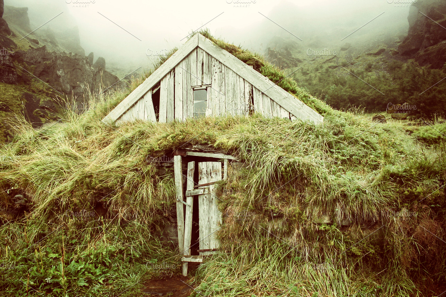 Wooden house isolated with grass in