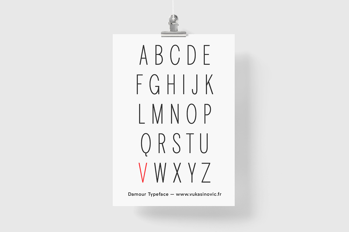Damour Family, a Sans Serif Font by Viktorvuka's Type Foundry (Photo 9 of 12)