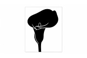 Black Lily Flower Vector Bundle, an Illustration by Designs_River (Thumbnail 51 of 51)