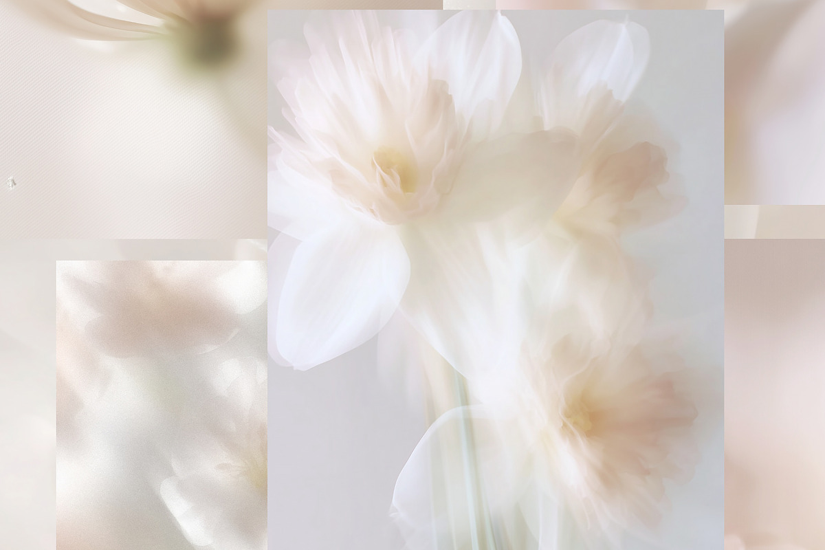 Ethereal Floral Backgrounds Bundle, an Abstract Photo by Allure Art (Photo 12 of 26)