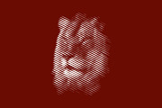Line Art Lion Logo, a Branding & Logo Template by Designs Basket (Thumbnail 5 of 5)