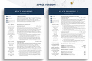 C-Level Modern Resume Template Word, a Resume Template by BestResumes.Co (Thumbnail 2 of 7)