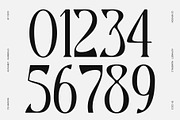 CS Aragon – Modern Serif Font, a Serif Font by Craft Supply Co. (Thumbnail 5 of 8)