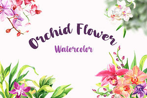 Watercolor Flowers - Orchid