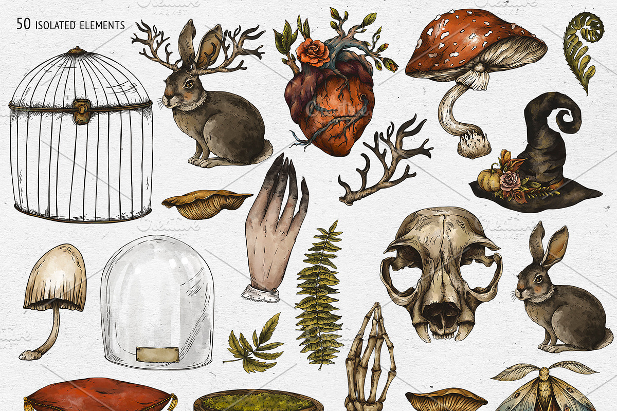 Birth Flowers & Birthstone Clipart, an Illustration by Belusuab (Photo 4 of 16)
