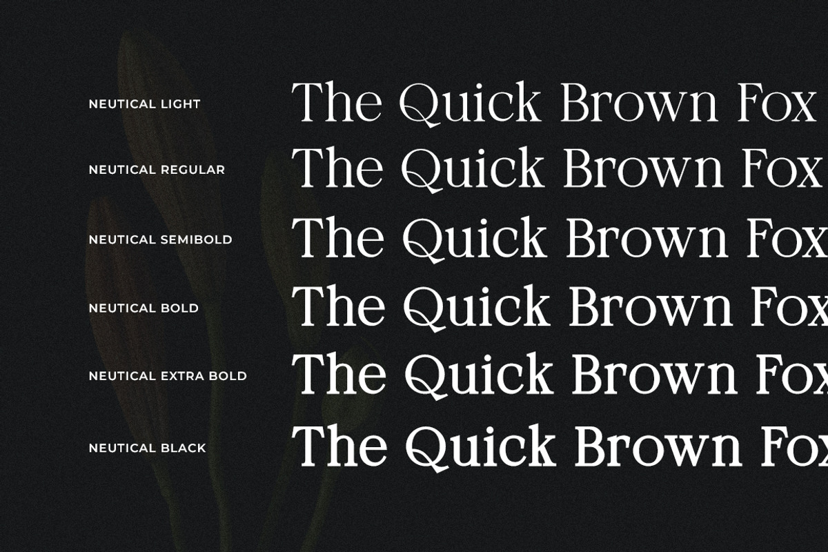 Neutical Serif Font Family (12 Font), a Serif Font by Heinzel Std (Photo 4 of 19)