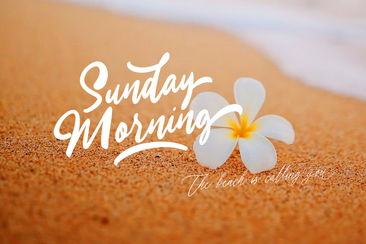 Cerlistine - Handwritten Script, a Script Font by Letterhend Studio (Photo 2 of 9)
