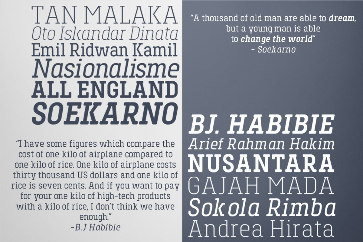 Toenas Bangsa Font Family, a Slab Serif Font by Bang Kumis Typefoundry (Photo 3 of 8)