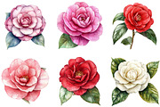 Camellia Flower Bloom PNG Clipart, an Illustration by DreamArtGraphic (Thumbnail 5 of 5)