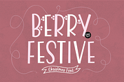 BERRY FESTIVE Farmhouse Christmas, a Sans Serif Font by Blush Font Co. (Thumbnail 1 of 6)