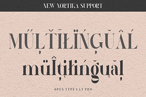 Nortika Serif Vintage Display