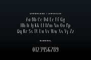 Cyfoget - Elegant Serif Font, a Serif Font by QR Design Studio (Thumbnail 6 of 11)