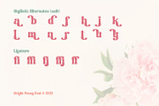 Bright Peony, a Handwritten Font by Nathatype (Thumbnail 10 of 10)