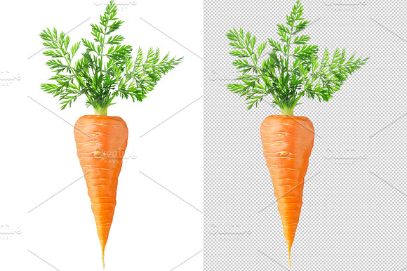 One Carrot With Leaves
