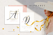 Elegant Botanical Set, an Illustration by TL Design (Thumbnail 5 of 18)