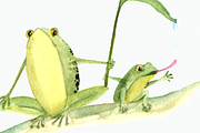 Watercolor Mother & Baby - Frogs, an Animal Illustration by Tati Bordiu (Thumbnail 3 of 3)