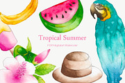 Watercolor summer tropical clipart, an Illustration by FOXYdigitalart (Thumbnail 1 of 5)