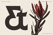 Arcilla — Variable Editorial Serif, a Serif Font by SilverStag Type Foundry (Thumbnail 12 of 31)