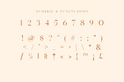 Wondershine, a Serif Font by INKSUN™ (Thumbnail 7 of 14)