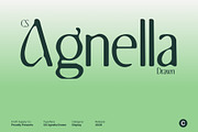 CS Agnella Drawn, a Serif Font by Craft Supply Co. (Thumbnail 1 of 8)