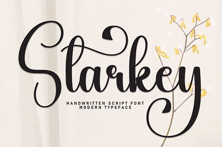 Starkey | Script Font, a Handwritten Font by Scratchones