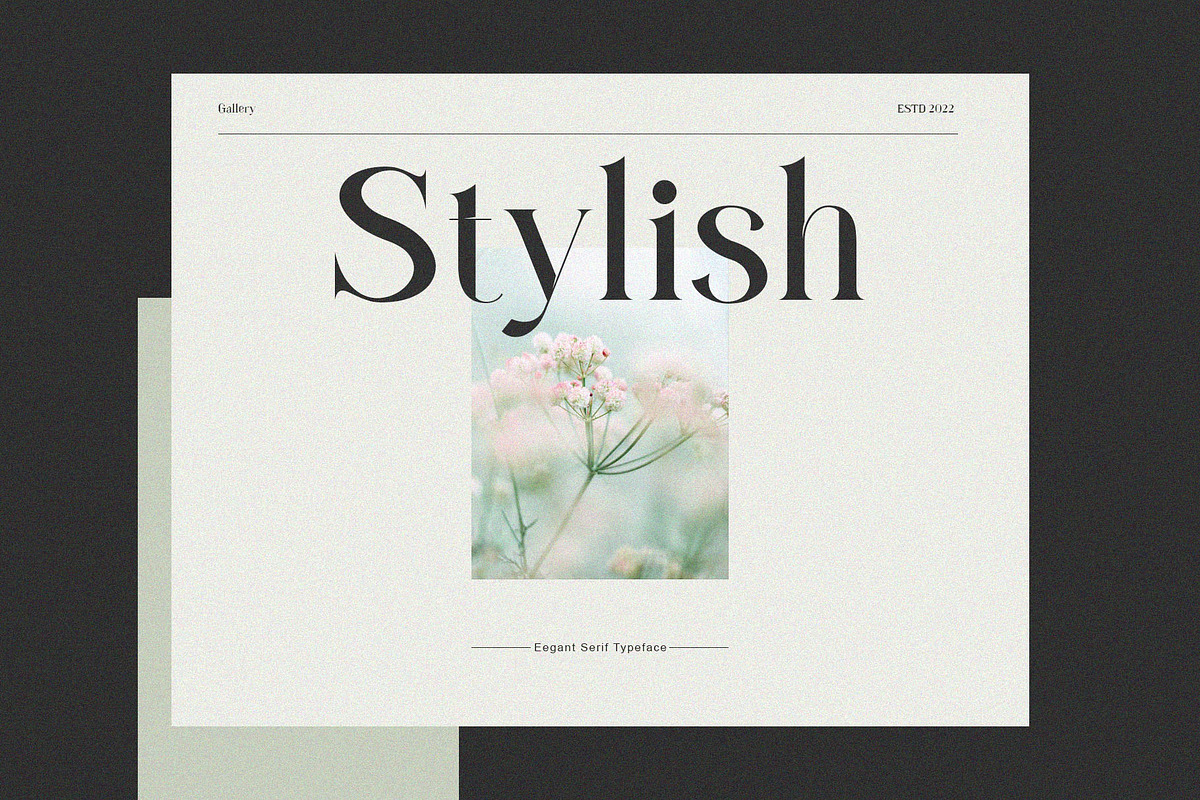 Forgue Modern Serif Typeface, a Serif Font by Dylla_studio (Photo 4 of 14)