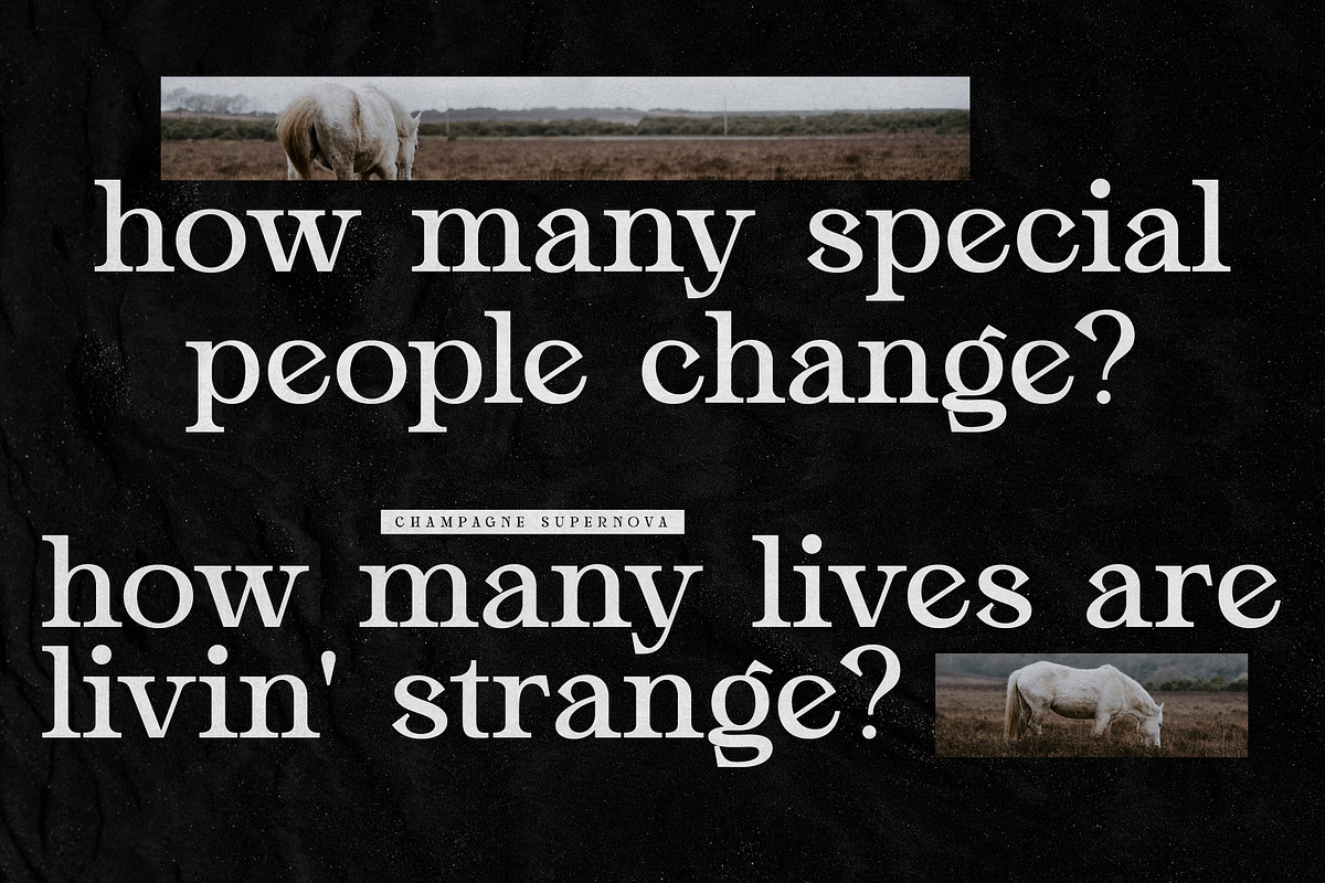 Glow Night Stylish Serif Font, a Serif Font by Storytype Studio (Photo 5 of 16)