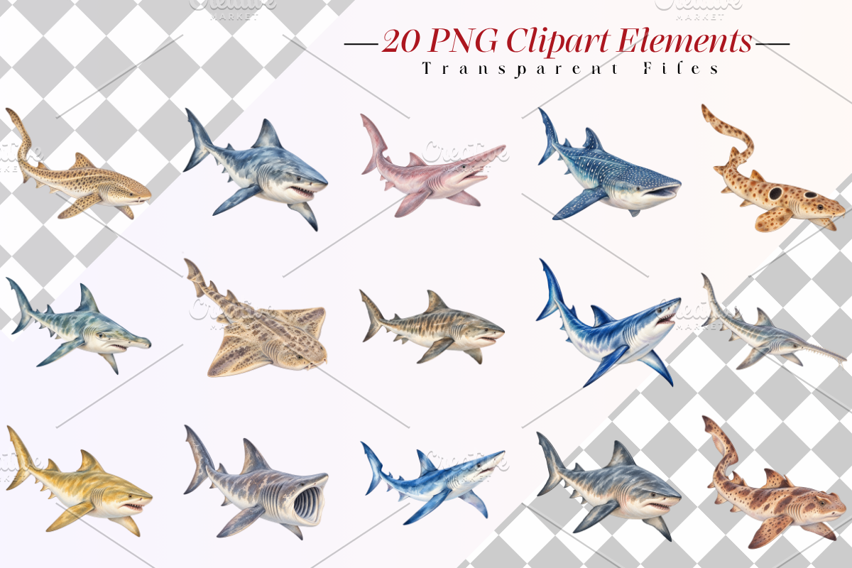Watercolor Shark Clipart PNG Bundle, an Animal Illustration by Ink Gallery (Photo 2 of 7)