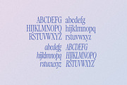 Elyanor Elegant Classic Serif, a Serif Font by Kereatype (Thumbnail 11 of 16)