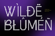CS Argue Disco, a Sans Serif Font by Craft Supply Co. (Thumbnail 7 of 8)