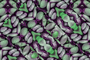 Manipulated Stones Photo Motif Seaml