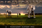 11 - ELEPHANT - Transparent PNGs, an Object Graphic by DareToDream (Thumbnail 1 of 2)