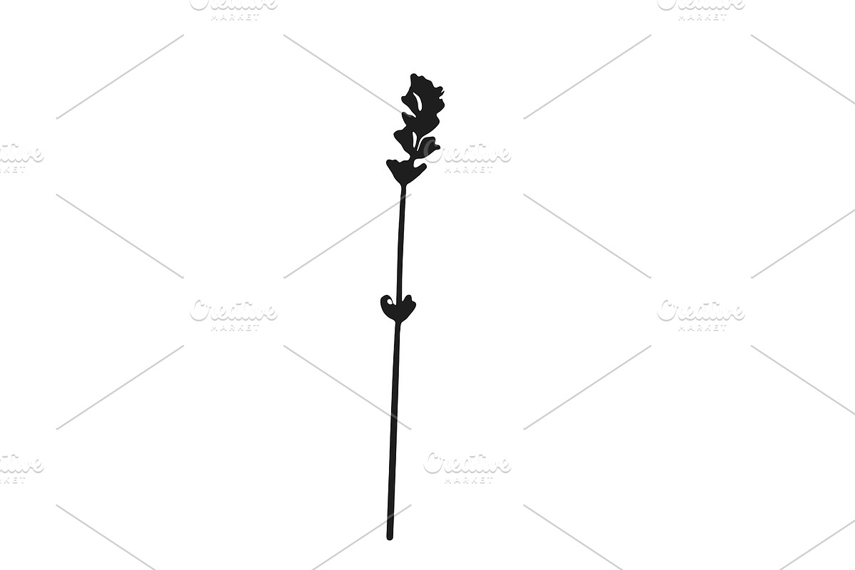 Botanical bundle - svg, png, a Decorative Illustration by Watercolor_Vector Graphic (Photo 24 of 26)