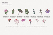 Elegant Floral Patterns: Botanical, a Pattern Graphic by likorbut (Thumbnail 9 of 21)